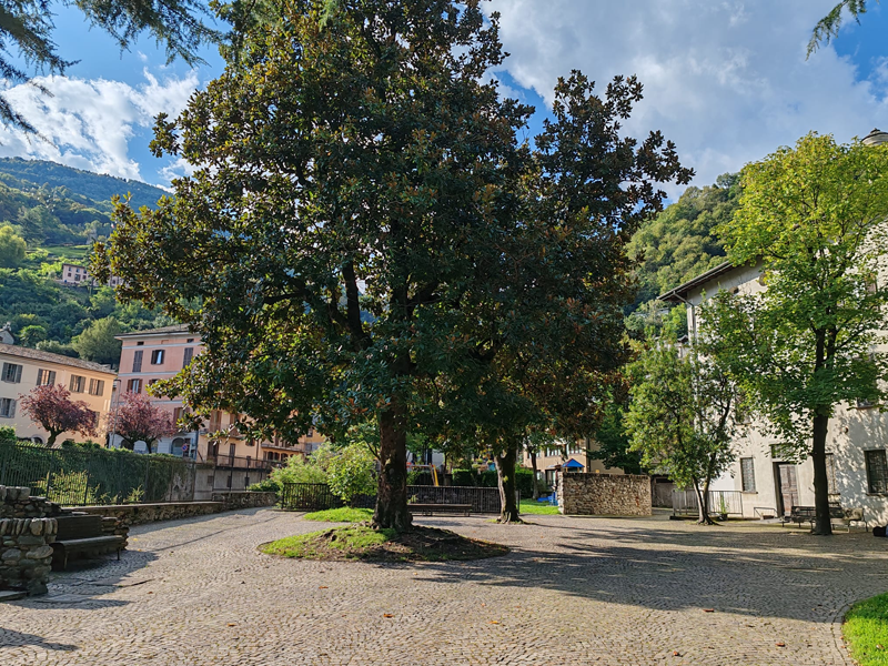 Giardini pubblici Cortivacci – Via Cortivacci