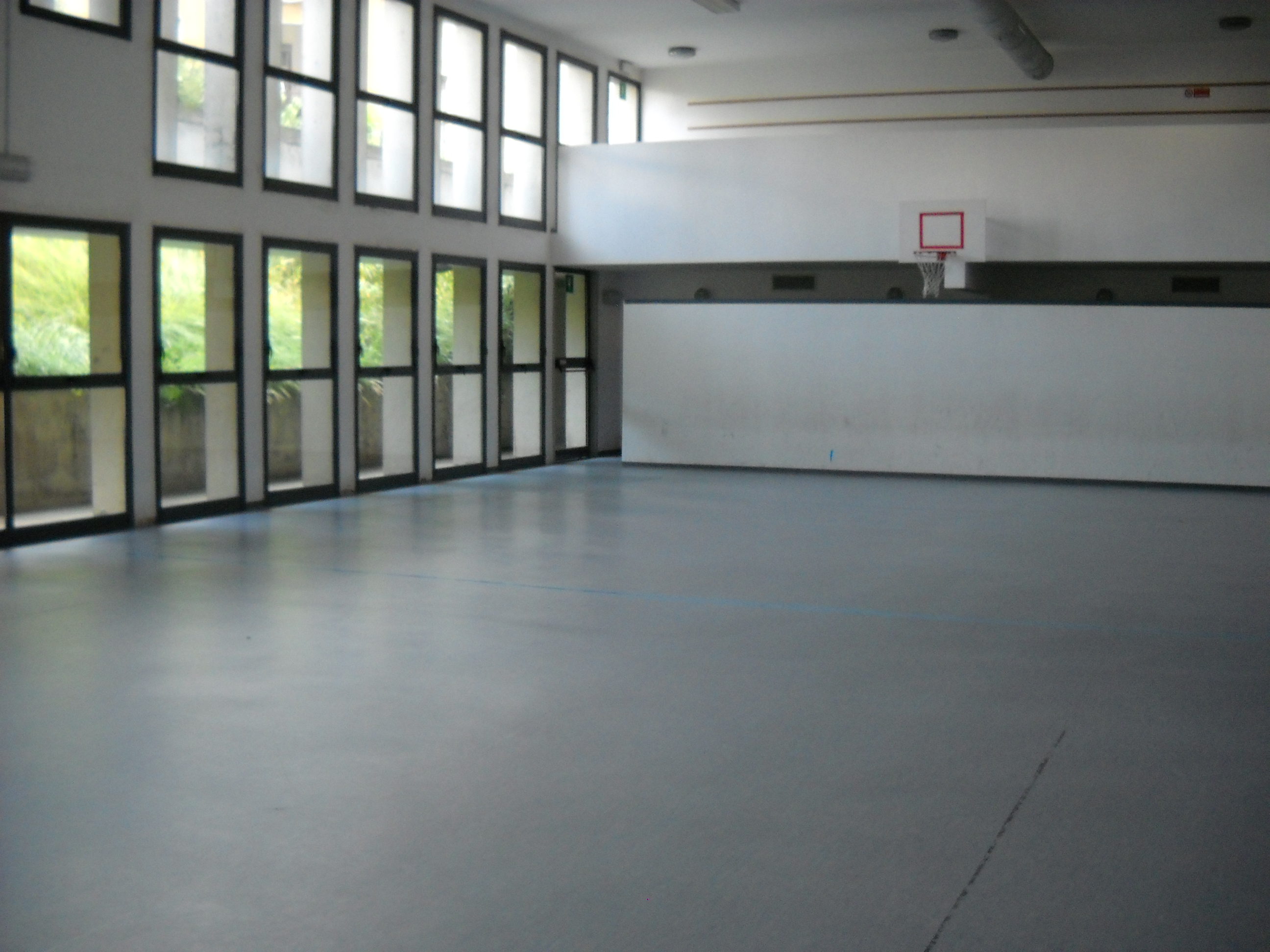 Palestra scolastica di Viale Ambrosetti